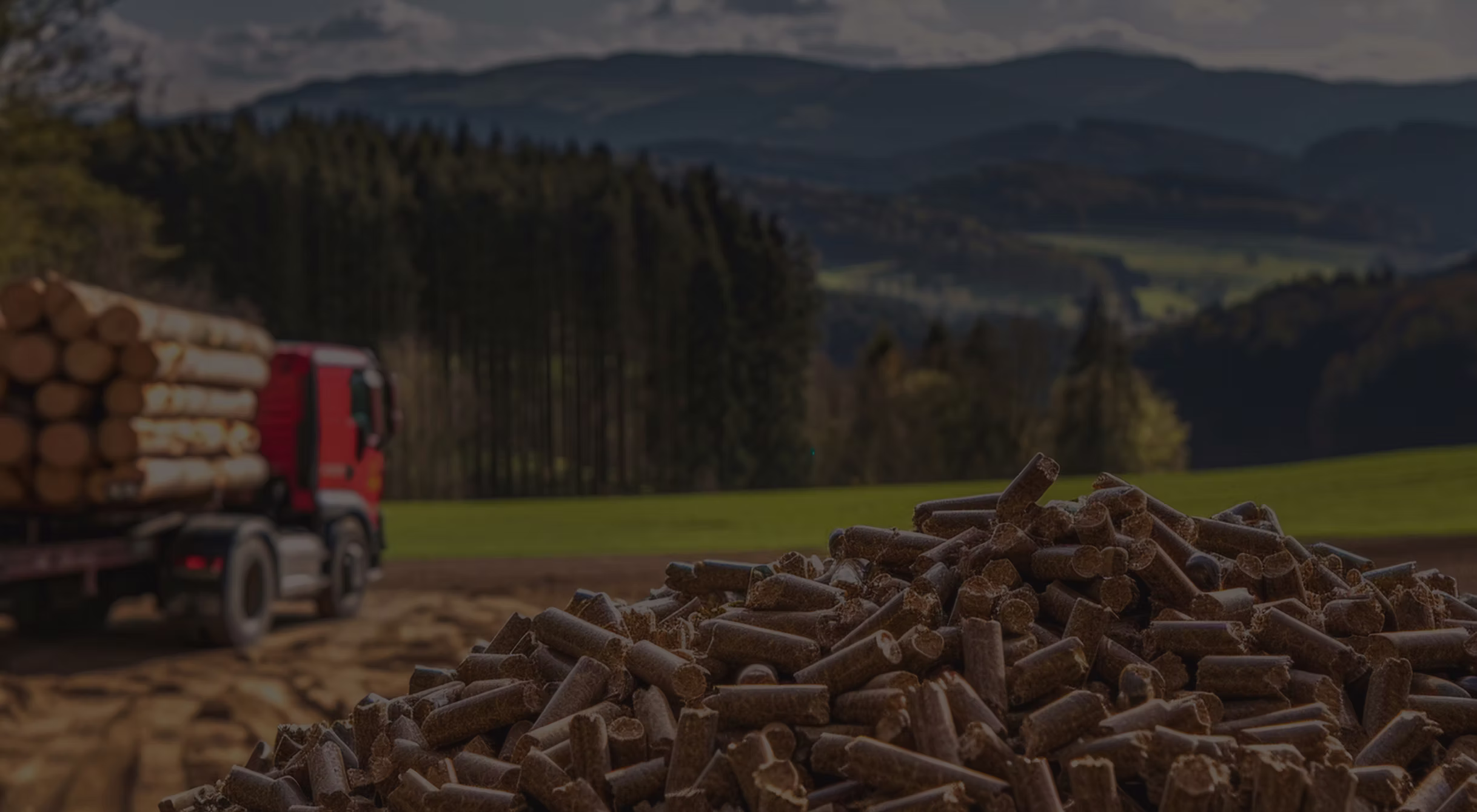 Rows of seasoned firewood ready for delivery